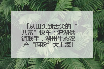 从田头到舌尖的“共富”快车：沪湖供销联手，湖州生态农产“圈粉”大上海